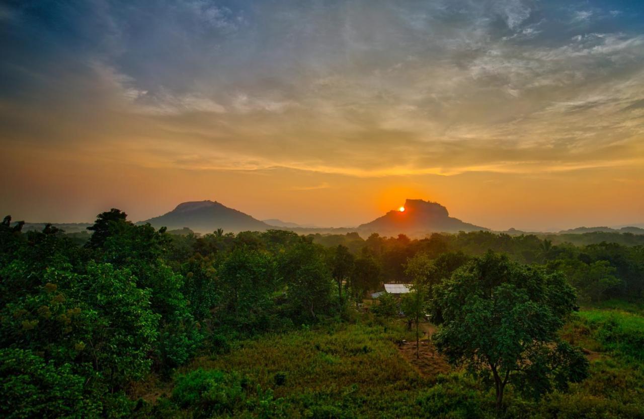 Choona Lodge 'View Of Sigiriya & Pidurangala With Sunrise' Buitenkant foto